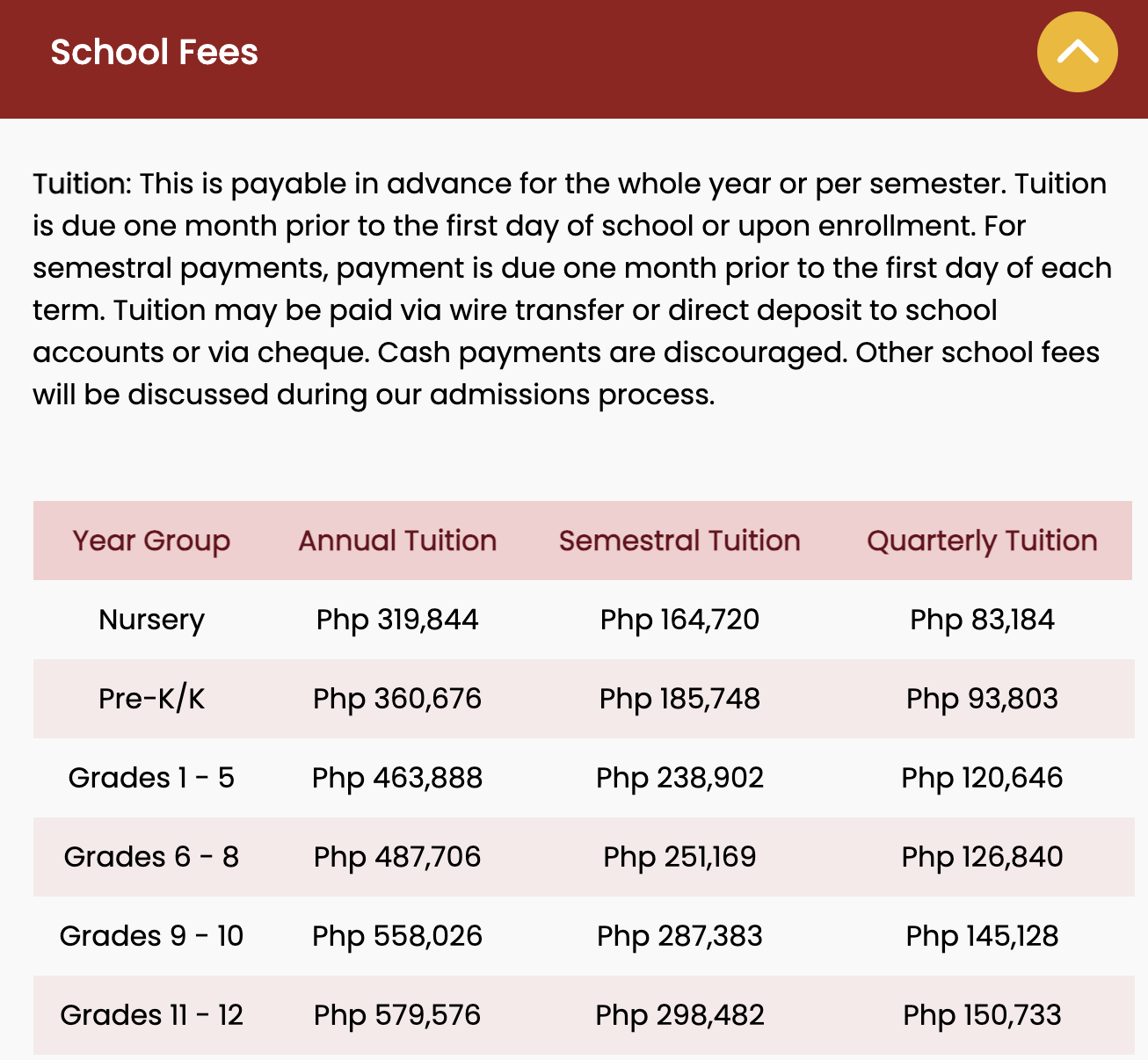 ใ2024ๅนดๅบฆ็ใใใใฉใปBGCใงๆขใๅฐๅญฆๆ กใปใคใณใฟใผใใทใงใใซในใฏใผใซ